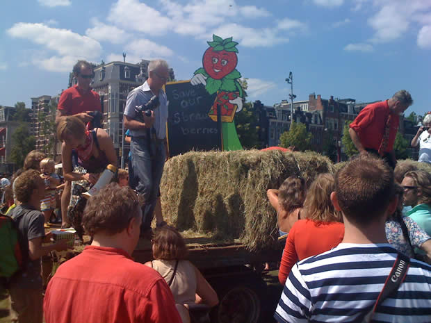 strawberry mob