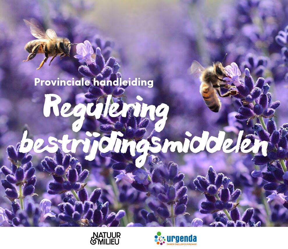 Paarse lavendelbloemen zijn op de voorgrond scherp. twee bijen vliegen naar de bloemen, één van hen zit aan de lavendel. In witte tekst staat: "Provinciale handleiding reguleren bestrijdingsmiddelen" Onder aan in een witte balk staan de logo's van Natuur&Milieu en Urgenda